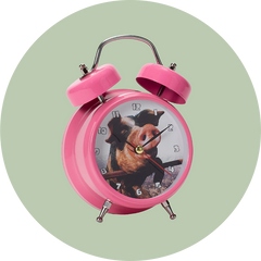 Collection image for: Alarm Clocks