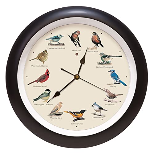 Original Singing Bird Wall Clock, 13 Inch, Black