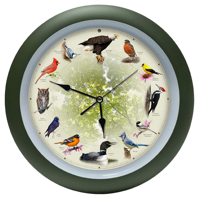 Limited Edition 20th Anniversary Singing Bird Wall Clock, 13 Inch, Green