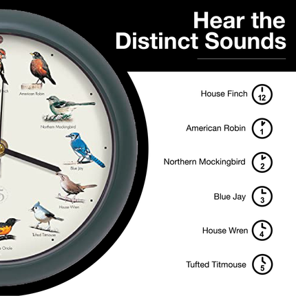 The Original Singing Bird Clock, 25th Anniversary Edition, 8 Inch, Green