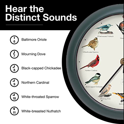 The Original Singing Bird Clock, 25th Anniversary Edition, 8 Inch, Green