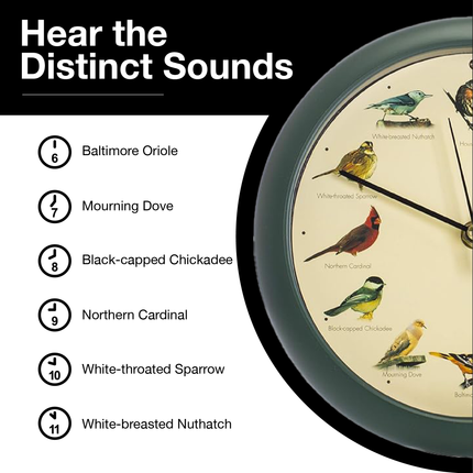 The Original Singing Bird Desk Clock, 8 Inch, Green
