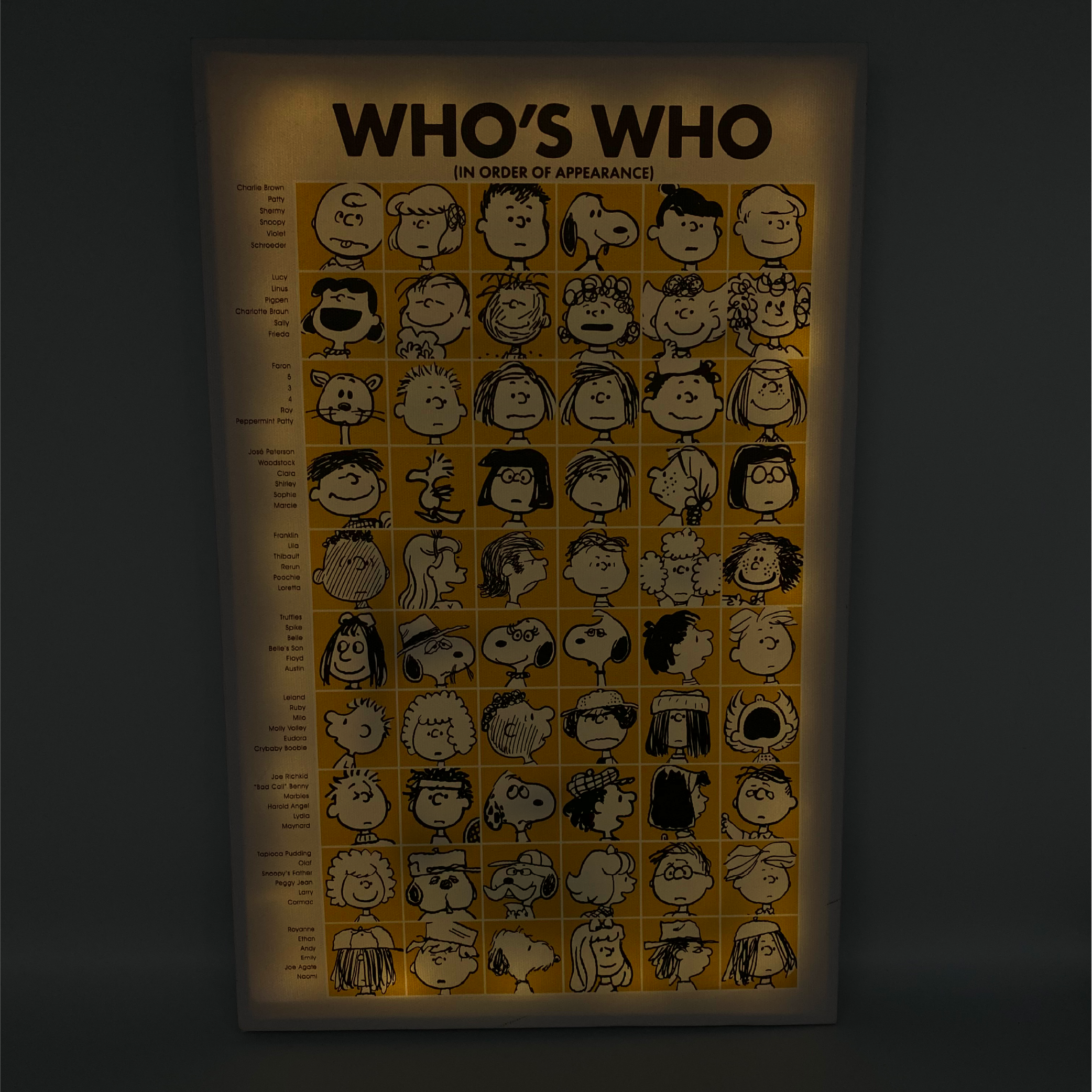 Peanuts Who's Who Characters LED Wrapped Canvas Wall Art, 16 x 12 Inch