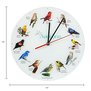 Audubon Songbird Glass Round Wall Clock, 12 Inch