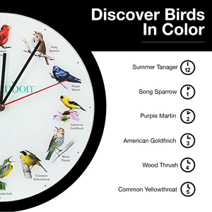 Audubon Songbird Glass Round Wall Clock, 12 Inch