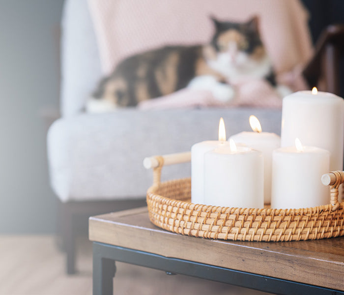 <h1>Harvest Décor</h1>