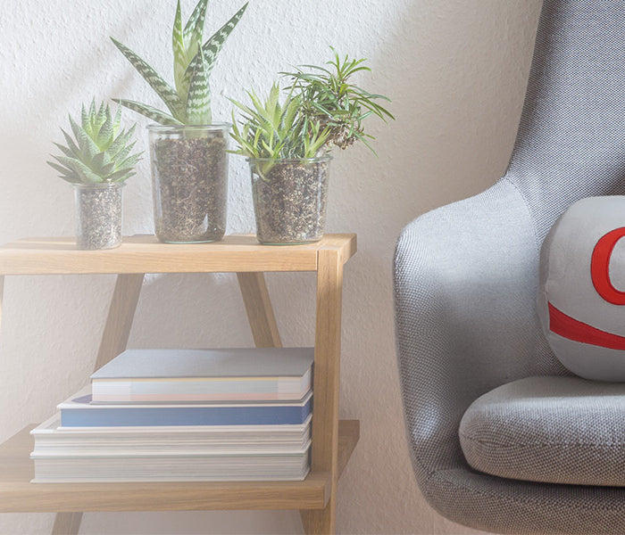 <h1>Pillows</h1>