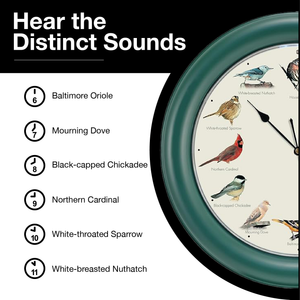 The Original Singing Bird Clock, 10.7 Inch, Green