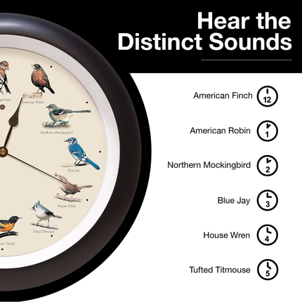 The Original Singing Bird Wall Clock, 13 Inch, Black