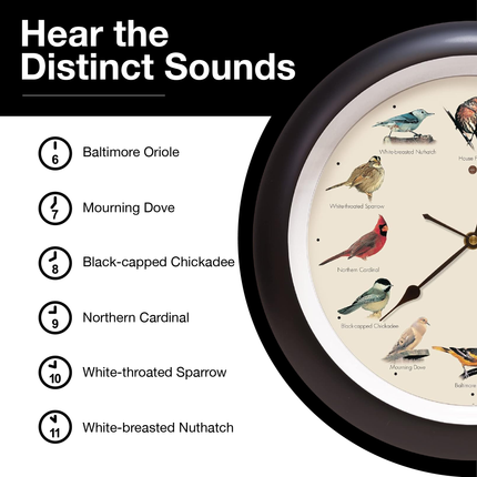 The Original Singing Bird Wall Clock, 13 Inch, Black
