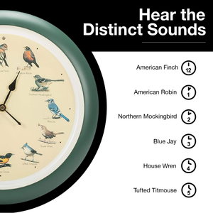 The Original Singing Bird Wall Clock, 13 Inch, Green