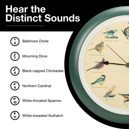 The Original Singing Bird Wall Clock, 13 Inch, Green