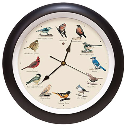 The Original Singing Bird Wall Clock, 13 Inch, Black