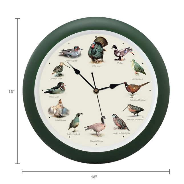 Singing Wild Game Birds of North America Wall Clock, 13 Inch, Green
