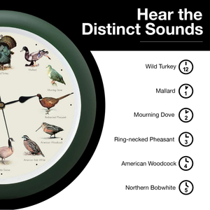 Singing Wild Game Birds of North America Wall Clock, 13 Inch, Green