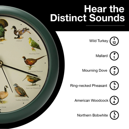 Singing Wild Game Birds of North America Clock, 8 Inch, Green