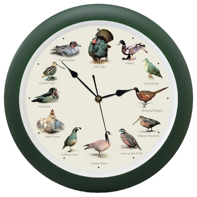 Singing Wild Game Birds of North America Wall Clock, 13 Inch, Green