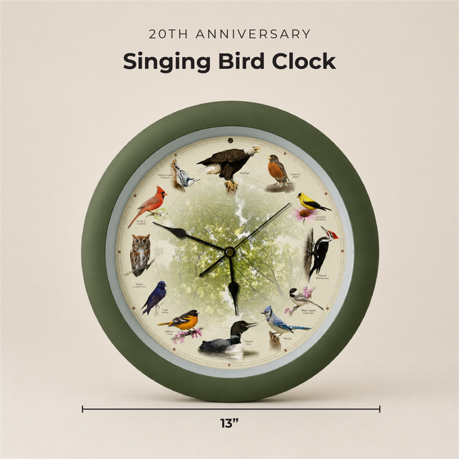 Limited Edition 20th Anniversary Singing Bird Wall Clock, 13 Inch, Green