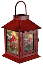 Wintertime Cardinal Lantern, 6.5 Inch, Red