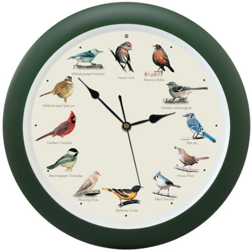 The Original Singing Bird Wall Clock, 13 Inch, Green