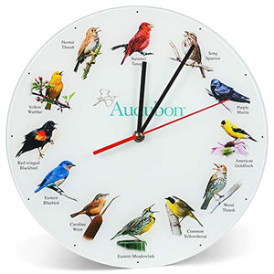 Audubon Songbirds 12" Non-Singing Glass Wall Clock