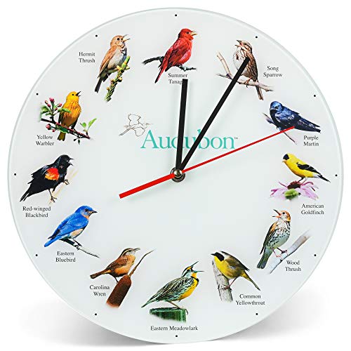 Audubon Songbirds 12